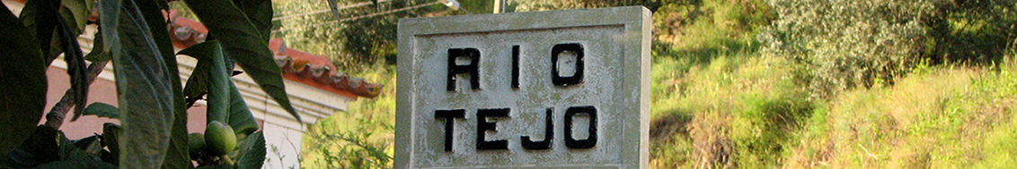 Belver.org